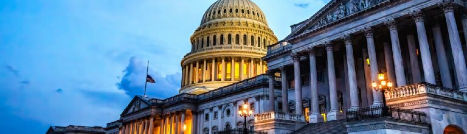 The U.S. Capitol Building